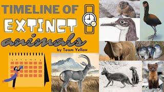 Timeline of Extinct Animals || by Team Yellow