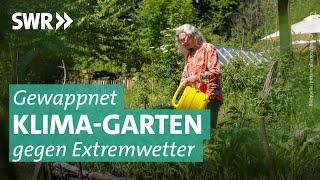 Hitze und Starkregen: Tipps für den resistenten Klima-Garten | Marktcheck SWR