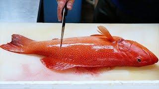 Japanese Food - RED GROUPER Steamed Fish Sashimi Okinawa Seafood Japan