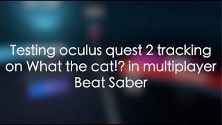 Testing Oculus Quest 2 Tracking with What The Cat!? by Camellia on Beat Saber multiplayer!