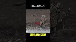 매도의 중요성  #비트코인 #리플 #bitcoin