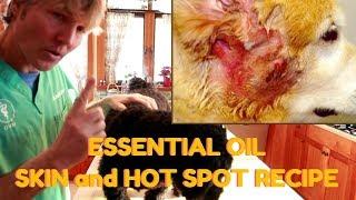 Dog Skin and Hot Spot Essential Oil Recipe