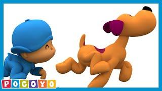  POCOYO DEUTSCH - Hundeleben (S01E39) | CARTOONS und SERIEN für KINDER