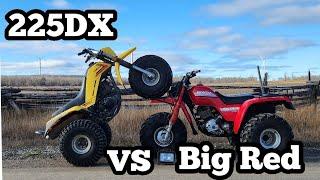 Honda ATC Big Red 250 Vs Yamaha 225DX 3 Wheeler Race