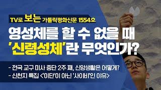 TV로 보는 가톨릭평화신문 1554호