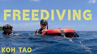 WE FINISHED OUR AIDA 2 FREEDIVING COURSE in KOH TAO! | THAILAND