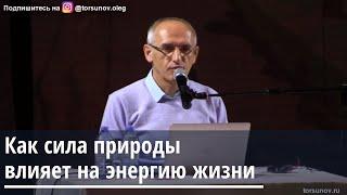 Торсунов О.Г.  Как сила природы влияет на энергию жизни