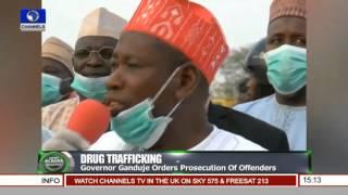 Governor Ganduje Orders Prosecution Of Drug Trafficking Offenders