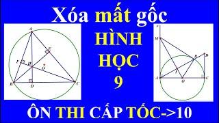 [TOÁN THCS] Mất gốc toán hình 9