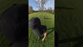 American Schutzhund 1 Obedience