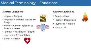 Medical Terminology - The Basics - Lesson 4