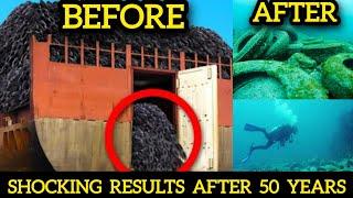 They Dumped 2 Million Tires Into The Ocean To Help Fish