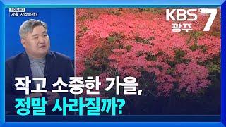 [기후탐사대] 작고 소중한 가을…“가을을 부탁해” / KBS  2024.10.08.