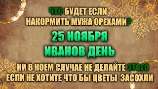 25 ноября. Народный праздник - Иванов день. Народные приметы.