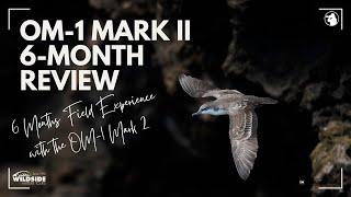 OM 1 Mark II - 6 Month Review (OM System Ambassador)