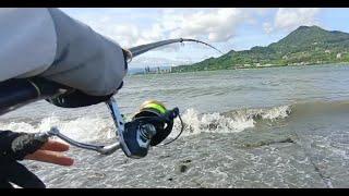 【淡水河釣魚】刺激一下 已放生(Danshui River estuary)