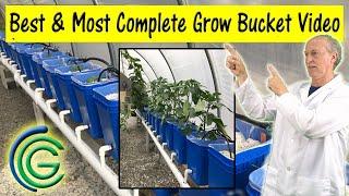 Hydroponic Growing  Buckets (Dutch buckets) Best DIY Dutch Bucket Video