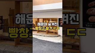 초초초신상 아무도 모르는 숨겨진 빵창고 발견 (정보는 댓글에) #밀창고 #해운대카페 #해리단길카페 #부산카페 #부산여행 #해운대여행 #부산빵지순례