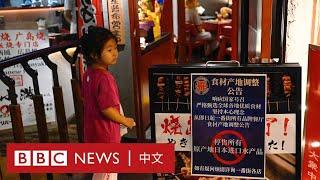 福島核污染水排海後中國反日情緒高漲 兩國相互指責滋擾行動－ BBC News 中文