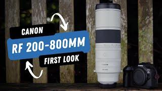 Canon RF 200-800mm F6.3-9 IS USM | Canon's lightweight and affordable super telephoto lens