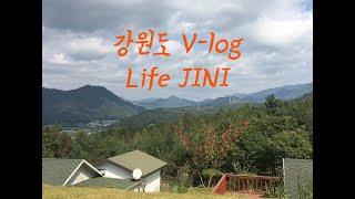 [V-log]강원도 시골 일상 함께해요, 작은 강원도집 공개 브이로그!!