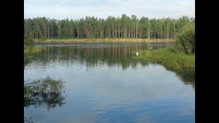 Жизнь в Сибири и наше хозяйство.