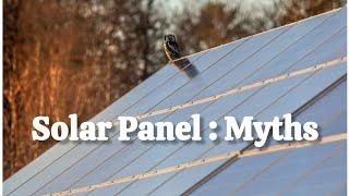 Debunking Common Myths About the Dangers of Solar Panels