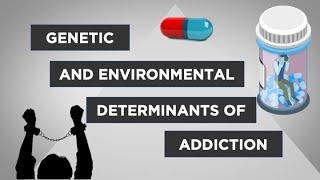 Evo-Ed: The Genetics of Opioid Addiction