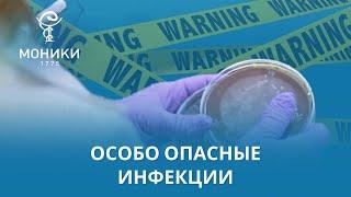 Особо опасные инфекции: чума, сибирская язва и лихорадка денге | МОНИКИ