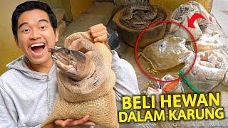 BELI HEWAN DALAM KARUNG DI PEDAGANG HEWAN PALING ANEH! MASUKIN KE KOLAM DI RUMAH!