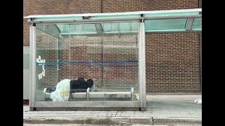 Frustration grows with drug use, people living in bus shelters in downtown Winnipeg