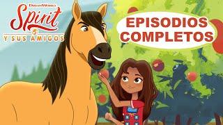 Spirit y sus amigos | Episodios completos | Cortos exclusivos