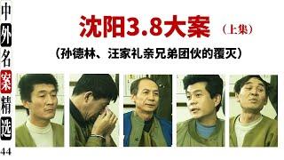 沈阳3.8大案   (上集） 亲兄弟团伙作案内情