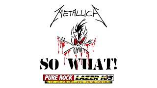 Metallica - So What (Cartoon Radio Edit)