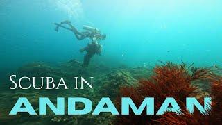 SCUBA Diving in Havelock Island, Andaman, India - Underwater video 4K