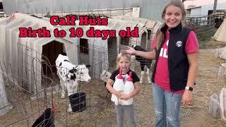 Rottinghaus Holsteins Farm Tour