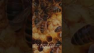 Nature's tiny workers