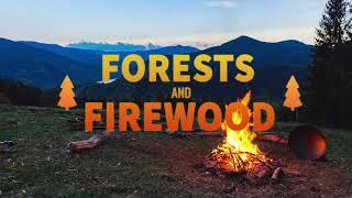 Forests & Firewood  - An Indie/Folk/Pop Campfire Playlist ️