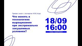 Что менять в технологиях выращивания при экстремально засушливых условиях?