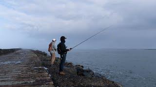 Fishing on the Northern CA Coast (Catch & Cook)