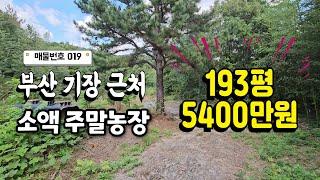 [019호] 급매! 부산 기장 장안읍 4분거리! 물,전기,도로 갖춘 소액 주말농장 추천 매물 051-722-0200