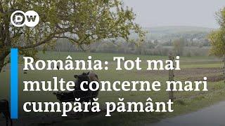 România: Tot mai multe concerne mari cumpără pământ