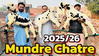 Mundre Chatre 2025/26 Ke Liye | Sindhi Chatre | Asif Mundra farm | Lahore band Road