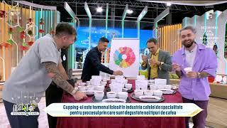 Cum să-ți alegi cea mai bună cafea | Sfaturi de la specialiști