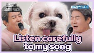 My Ear’s CANDY [Animals Are Incredible : EP.10-3] | KBS WORLD TV 250305