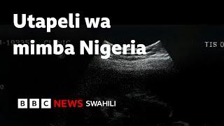 Africa Eye inafichua matapeli wa uzazi  Nigeria