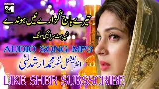 TERE BAJ GUZARA NAIN HONDA  | NEW SARIKI SONG 2024  mustafai sound system music