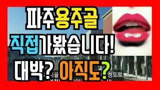 파주용주골홍등가후기) 용주골텍사스리뷰 직접 가봤습니다