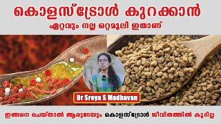 ഇങ്ങനെ ചെയ്താൽ ആരുടേയും കൊളസ്ട്രോൾ ജീവിതത്തിൽ കൂടില്ല /Baiju's Vlogs