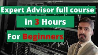 Complete algorithmic trading and expert advisor course for Beginners - In 3 Hours